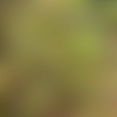 Soyut bulanık arkaplan renkleri karışık 