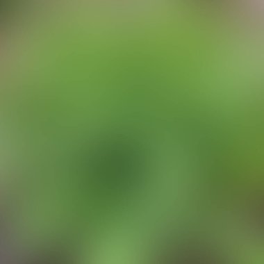 Soyut bulanık arkaplan renkleri karışık 