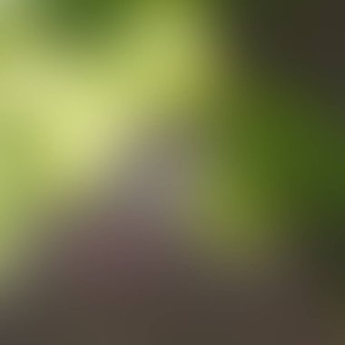 Soyut bulanık arkaplan renkleri karışık 