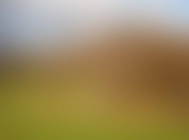 Soyut bulanık arkaplan renkleri karışık 