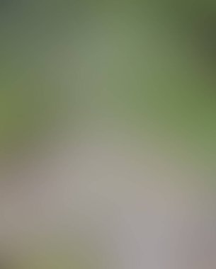 Soyut bulanık arkaplan renkleri karışık 