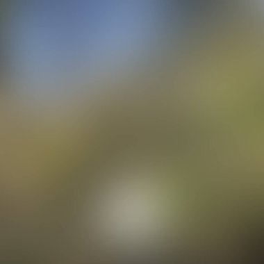 Soyut bulanık arkaplan renkleri karışık 