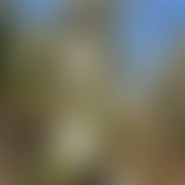 Soyut bulanık arkaplan renkleri karışık 