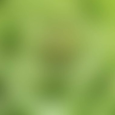 Soyut bulanık arkaplan renkleri karışık 