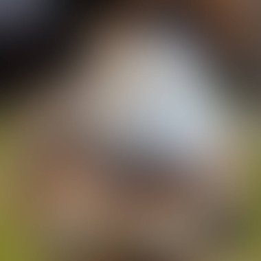 Soyut bulanık arkaplan renkleri karışık 