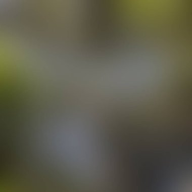 Soyut bulanık arkaplan renkleri karışık 