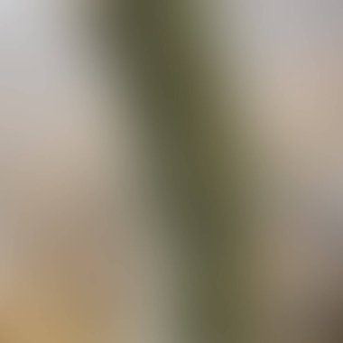 Soyut bulanık arkaplan renkleri karışık 