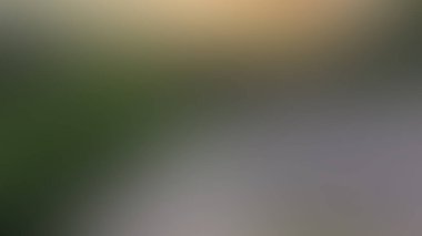 Soyut bulanık arkaplan renkleri karışık 