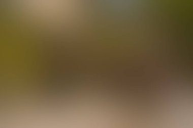 Soyut bulanık arkaplan renkleri karışık 