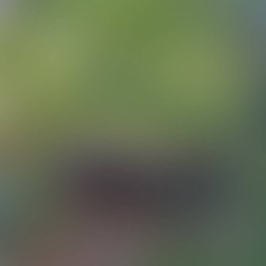 Soyut bulanık arkaplan renkleri karışık 