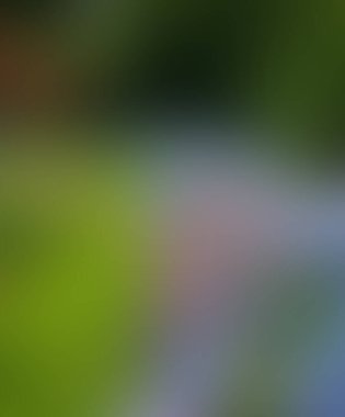 Soyut bulanık arkaplan renkleri karışık 