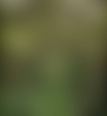 Soyut bulanık arkaplan renkleri karışık 