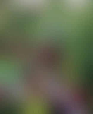 Soyut bulanık arkaplan renkleri karışık 