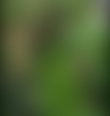 Soyut bulanık arkaplan renkleri karışık 