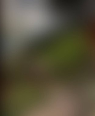 Soyut bulanık arkaplan renkleri karışık 