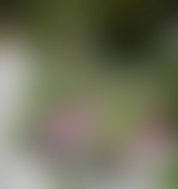 Soyut bulanık arkaplan renkleri karışık 