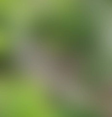 Soyut bulanık arkaplan renkleri karışık 