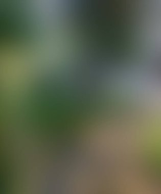 Soyut bulanık arkaplan renkleri karışık 