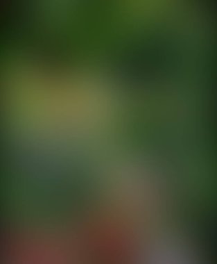 Soyut bulanık arkaplan renkleri karışık 