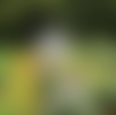 Soyut bulanık arkaplan renkleri karışık 