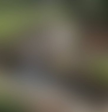 Soyut bulanık arkaplan renkleri karışık 