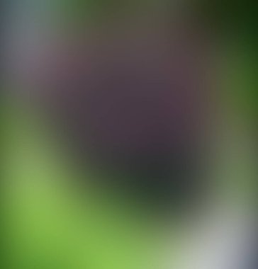 Soyut bulanık arkaplan renkleri karışık 