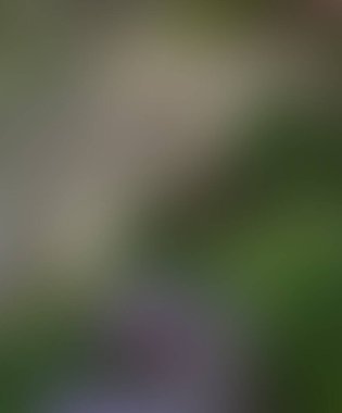 Soyut bulanık arkaplan renkleri karışık 