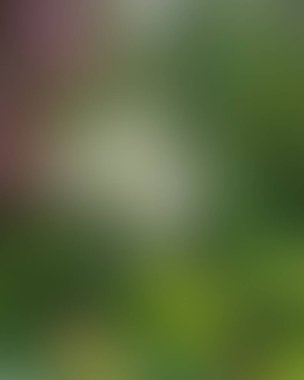 Soyut bulanık arkaplan renkleri karışık 