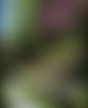 Soyut bulanık arkaplan renkleri karışık 