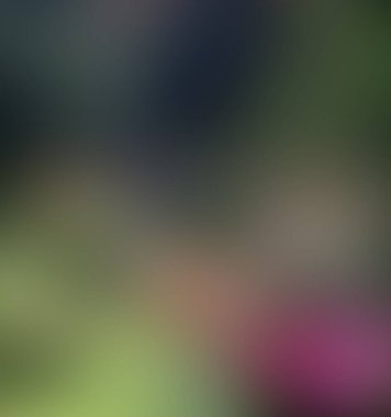 Soyut bulanık arkaplan renkleri karışık 