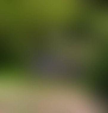 Soyut bulanık arkaplan renkleri karışık 