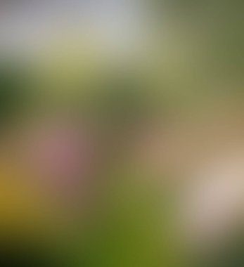 Soyut bulanık arkaplan renkleri karışık 