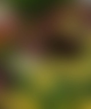 Soyut bulanık arkaplan renkleri karışık 