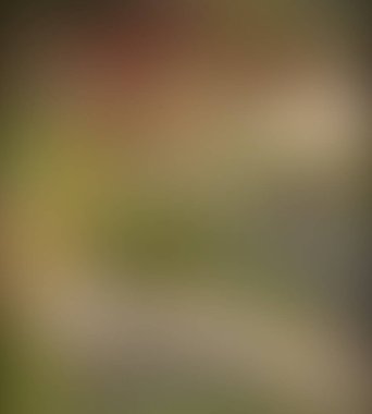 Soyut bulanık arkaplan renkleri karışık 