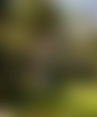 Soyut bulanık arkaplan renkleri karışık 