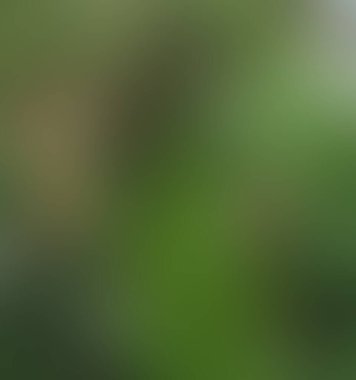 Soyut bulanık arkaplan renkleri karışık 