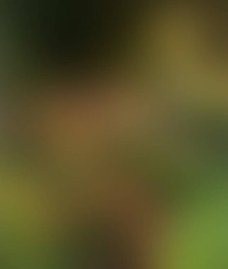 Soyut bulanık arkaplan renkleri karışık 