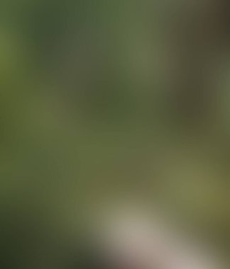 Soyut bulanık arkaplan renkleri karışık 