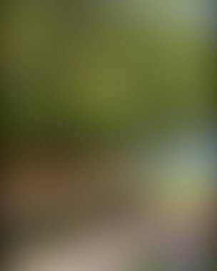 Soyut bulanık arkaplan renkleri karışık 