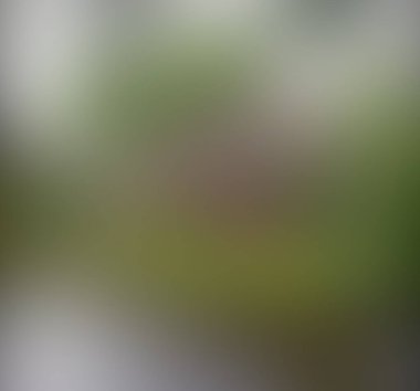 Soyut bulanık arkaplan renkleri karışık 