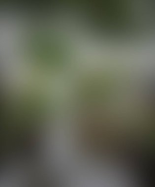 Soyut bulanık arkaplan renkleri karışık 