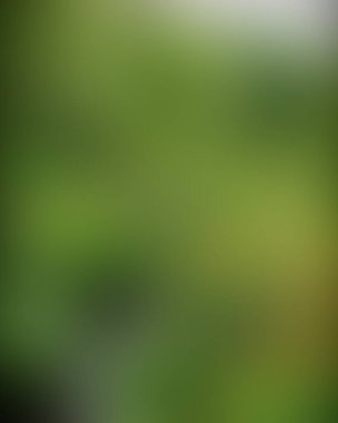 Soyut bulanık arkaplan renkleri karışık 