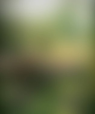 Soyut bulanık arkaplan renkleri karışık 