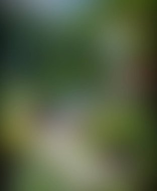 Soyut bulanık arkaplan renkleri karışık 