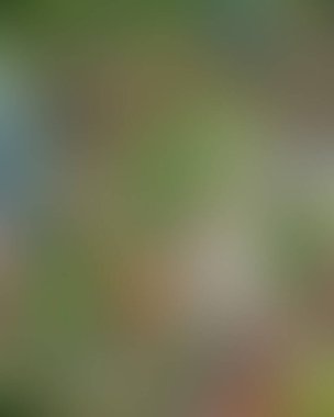 Soyut bulanık arkaplan renkleri karışık 