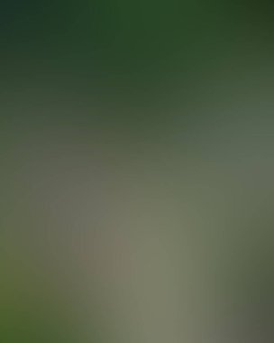 Soyut bulanık arkaplan renkleri karışık 