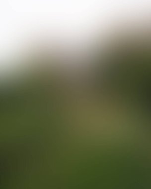 Soyut bulanık arkaplan renkleri karışık 