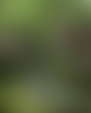 Soyut bulanık arkaplan renkleri karışık 