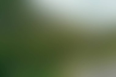 Soyut bulanık arkaplan renkleri karışık 