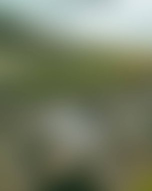 Soyut bulanık arkaplan renkleri karışık 